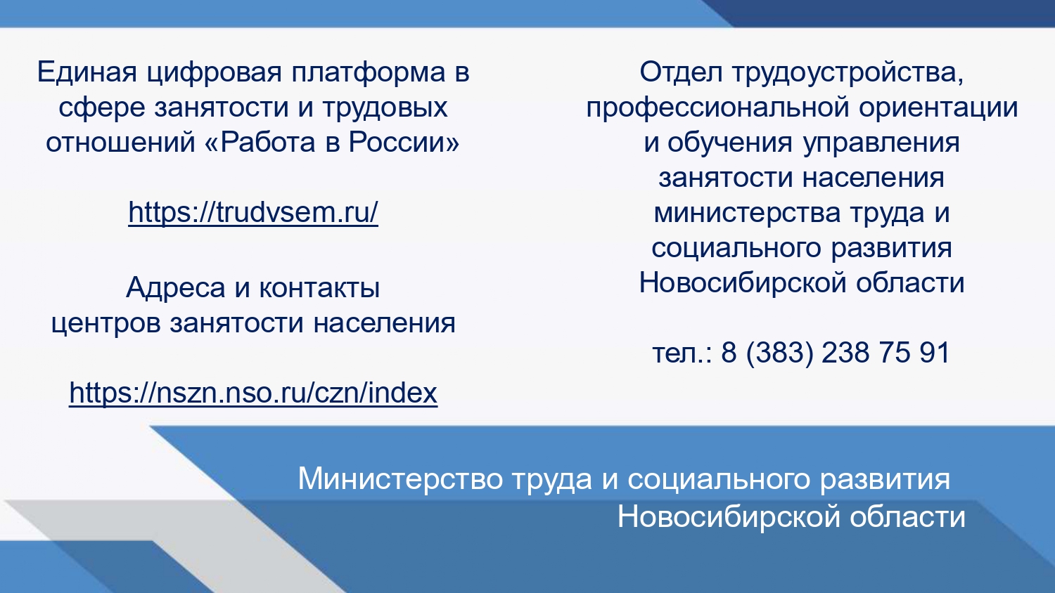 МЕРЫ ПОДДЕРЖКИ ЗАНЯТОСТИ В 2022 ГОДУ | Официальный сайт Новосибирска