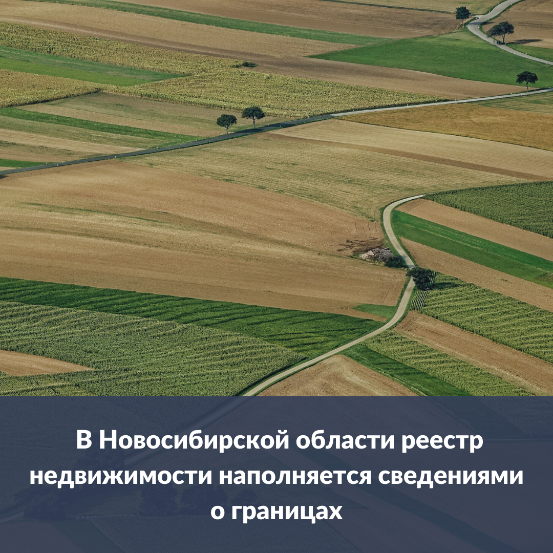 В Новосибирской области реестр недвижимости наполняется сведениями о  границах | Официальный сайт Новосибирска