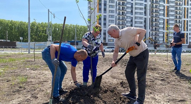 Продолжается благоустройство Кировского района