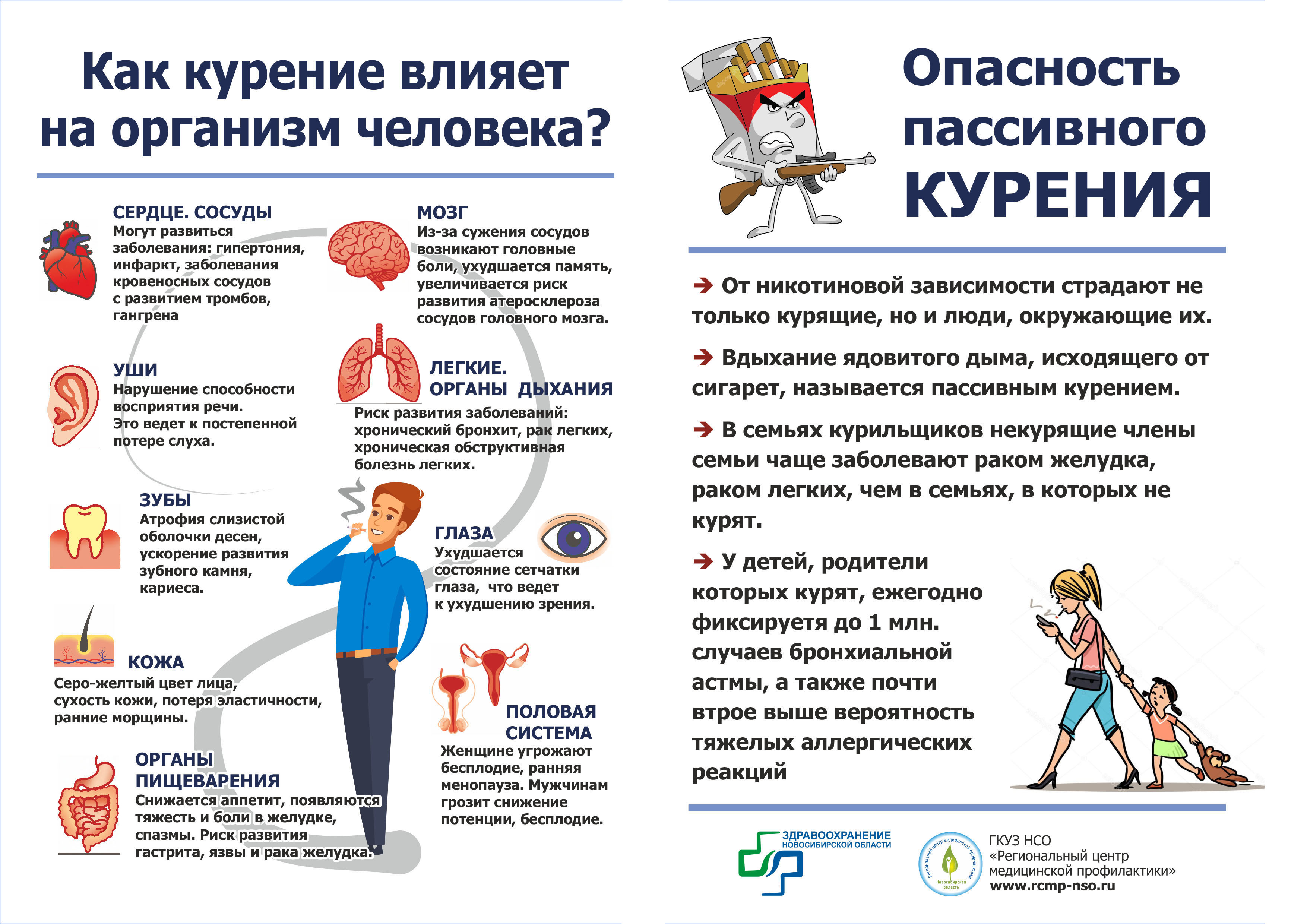 Как курение влияет на организм человека? - Мэрия Новосибирска