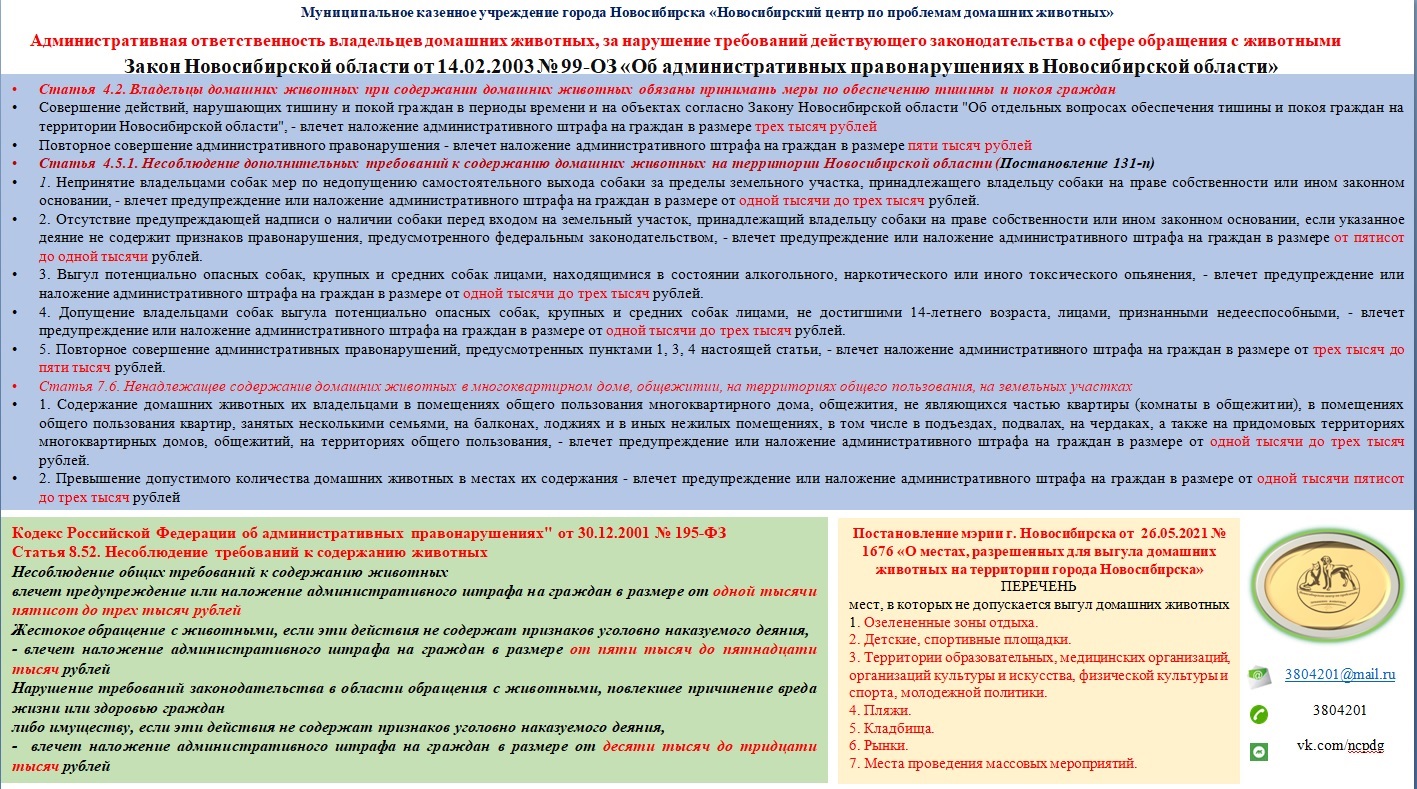 Правила содержания домашних животных! | Официальный сайт Новосибирска